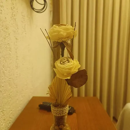 Otel Decerca *